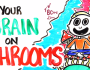 Your Brain On Shrooms